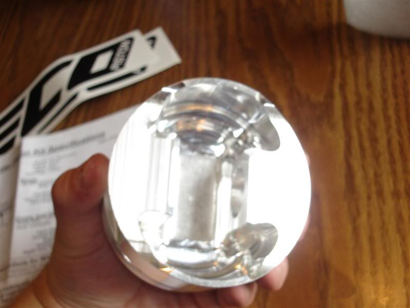 [Image: DSC00292Medium.jpg]