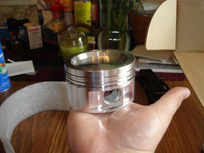 [Image: DSC00293Medium.jpg]