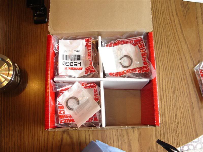 [Image: DSC00295Medium.jpg]