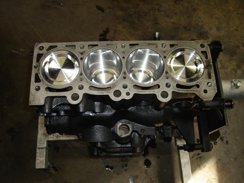 [Image: DSC00353Medium.jpg]