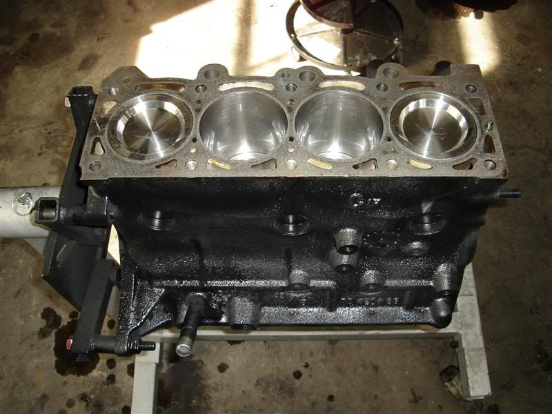 [Image: DSC00354Medium.jpg]