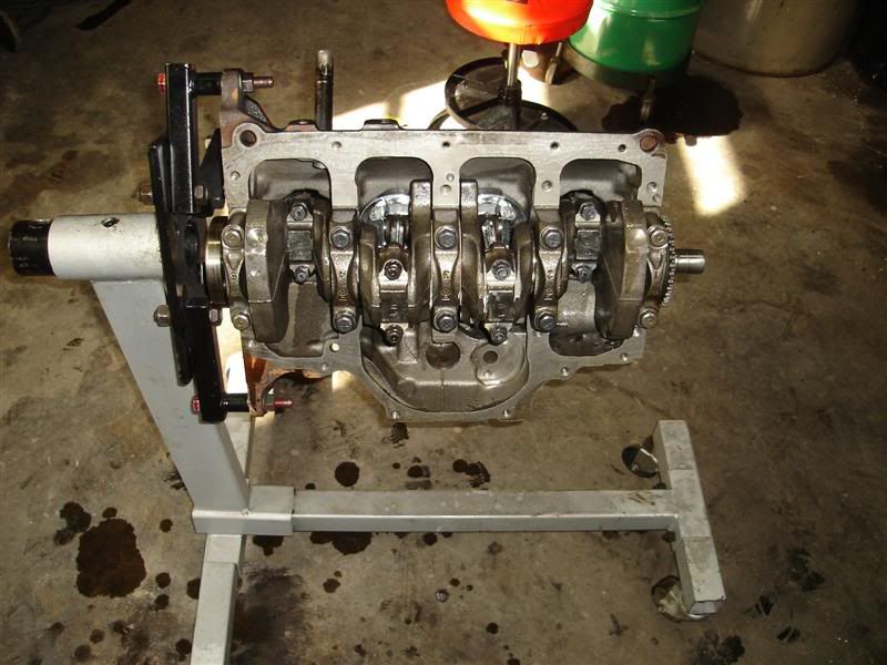 [Image: DSC00359Medium.jpg]