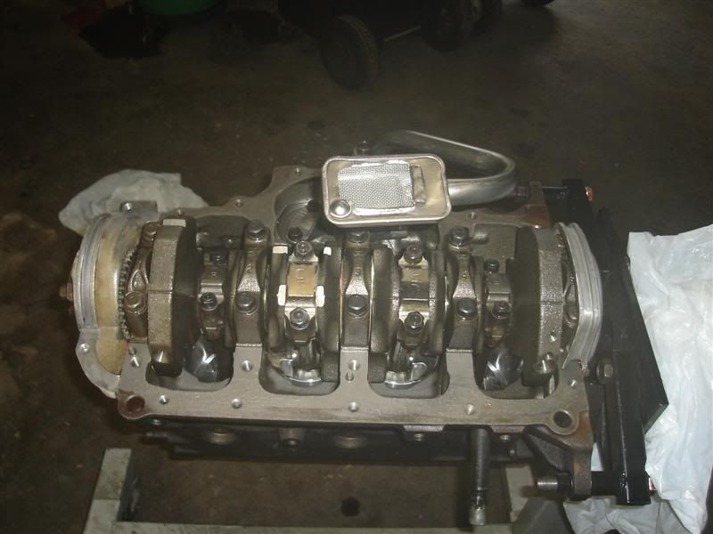 [Image: DSC00457Medium.jpg]