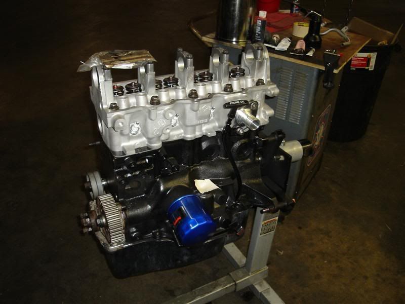 [Image: DSC00466Medium.jpg]