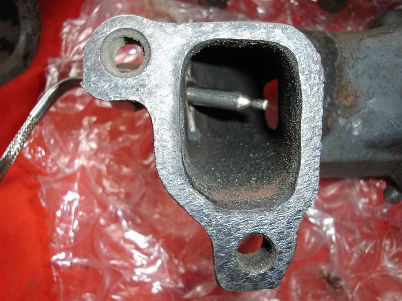 [Image: DSC00546Medium.jpg]