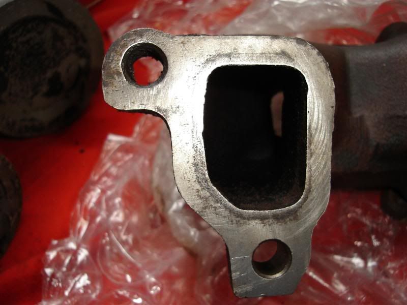 [Image: DSC00547Medium.jpg]