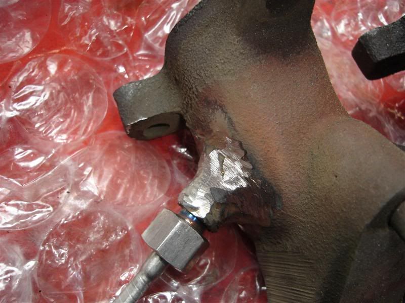 [Image: DSC00548Medium.jpg]