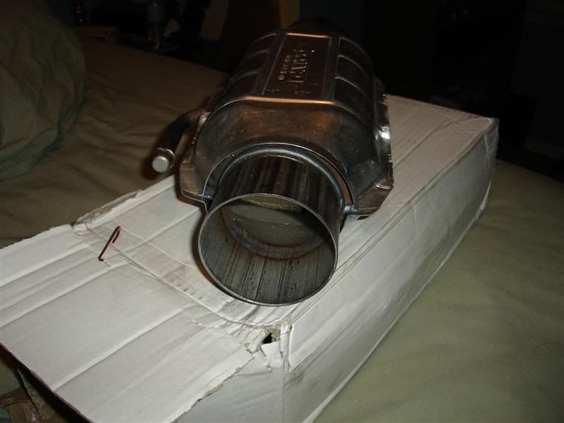 [Image: DSC00558Medium.jpg]