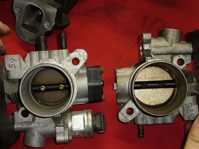 [Image: DSC00591Medium.jpg]