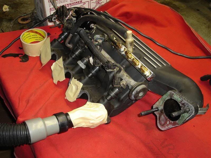 [Image: DSC00593Medium.jpg]