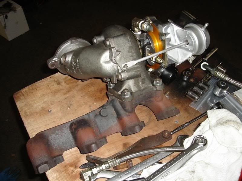 [Image: DSC00607Medium.jpg]