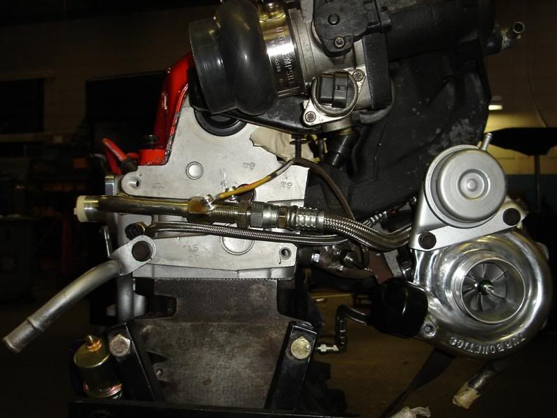 [Image: DSC00618Medium.jpg]