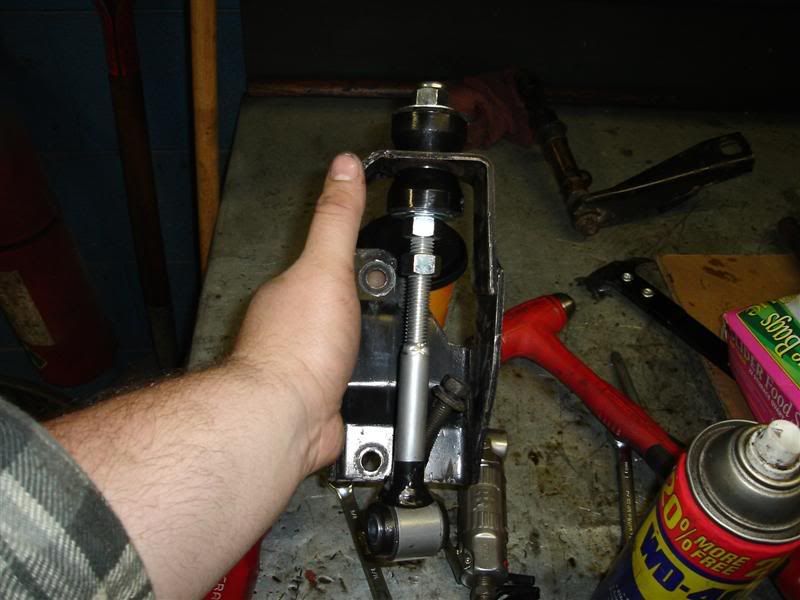 [Image: DSC00629Medium.jpg]