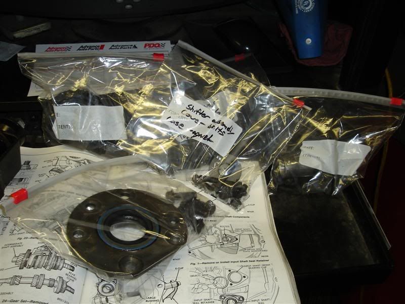 [Image: DSC00630Medium.jpg]