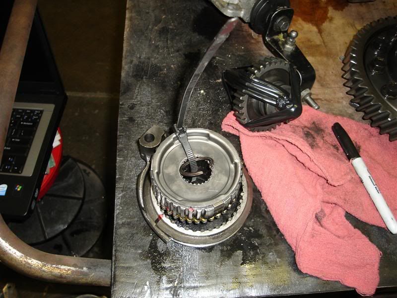 [Image: DSC00631Medium.jpg]