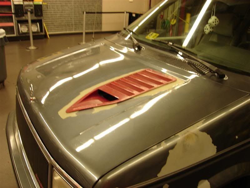 [Image: DSC00659Medium.jpg]