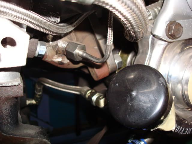 [Image: DSC01784.jpg]