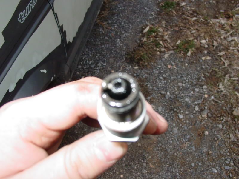 [Image: DSC02646.jpg]