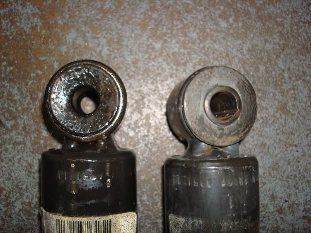 [Image: DSC02858-1.jpg]