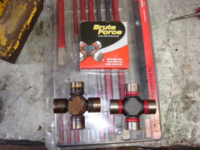 [Image: DSC03451.jpg]