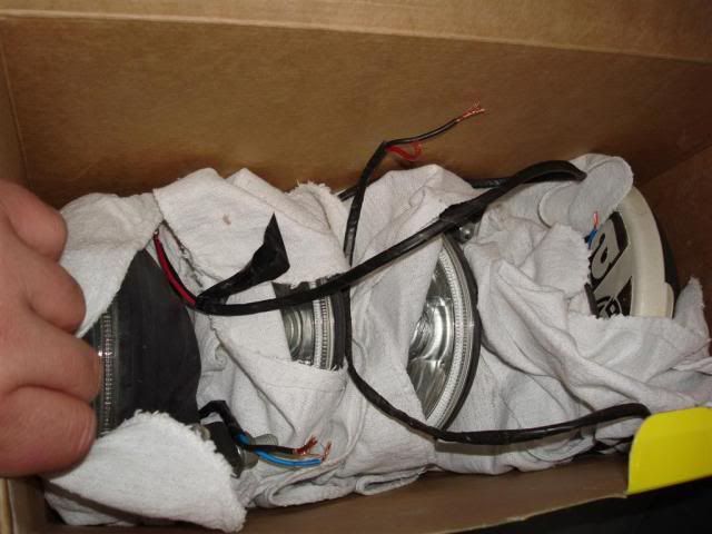 [Image: DSC03528Large.jpg]