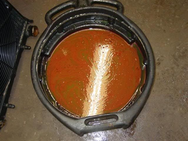 [Image: DSC00292.jpg]