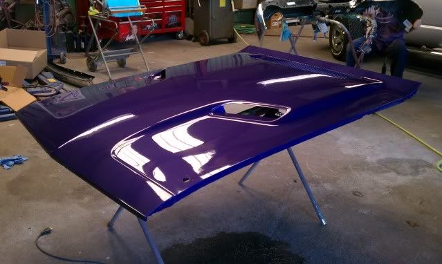 [Image: IMAG0025.jpg]