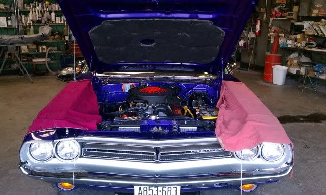 [Image: IMAG0031.jpg]