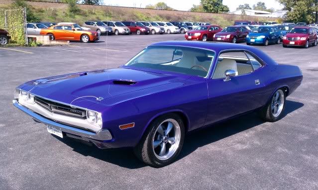 [Image: IMAG0035.jpg]