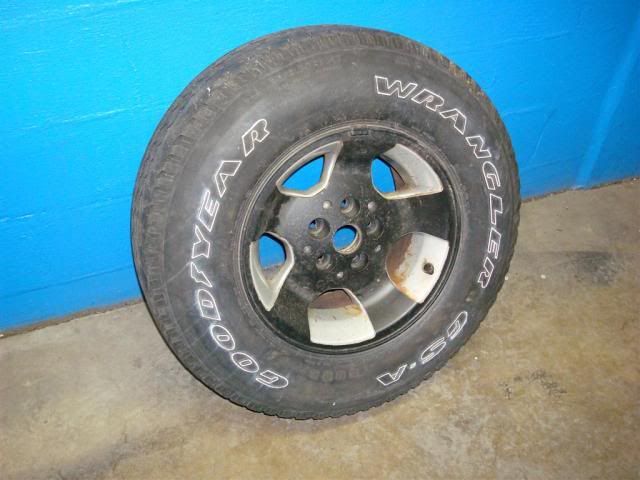 [Image: DSC03467Large.jpg]