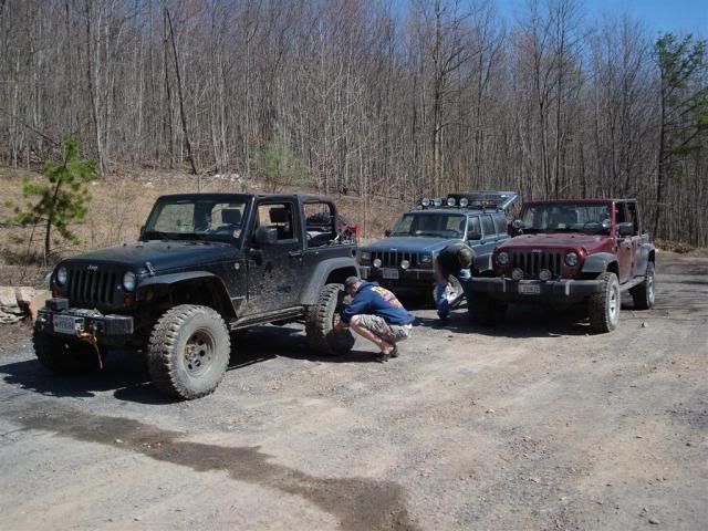 [Image: DSC03551Large.jpg]