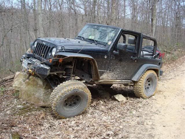 [Image: DSC03552Large.jpg]