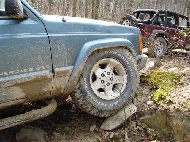 [Image: DSC03565Large.jpg]