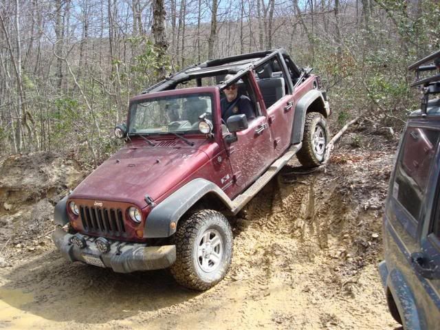 [Image: DSC03569Large.jpg]