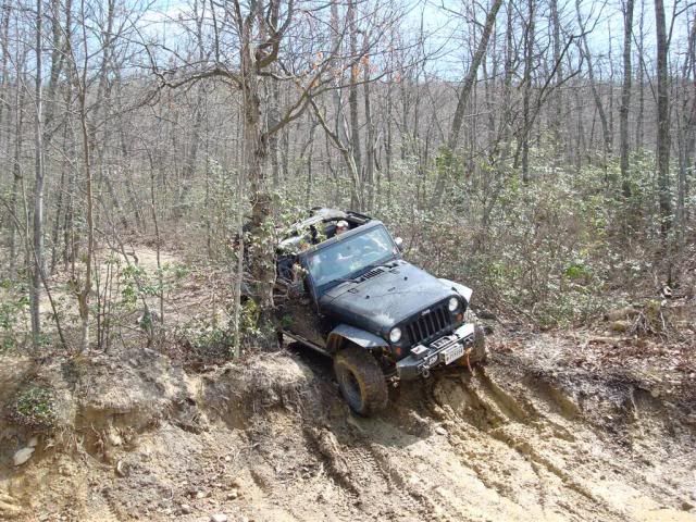 [Image: DSC03582Large.jpg]