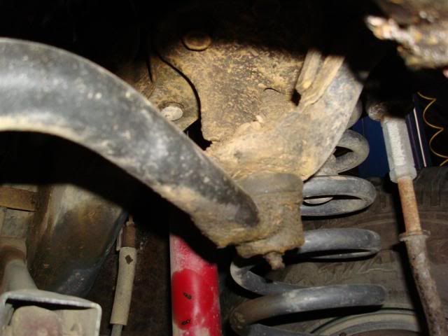 [Image: DSC03683Large.jpg]