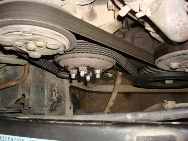 [Image: DSC03711Large.jpg]