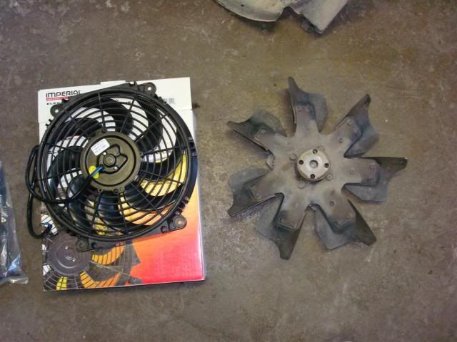 [Image: DSC03712Large.jpg]