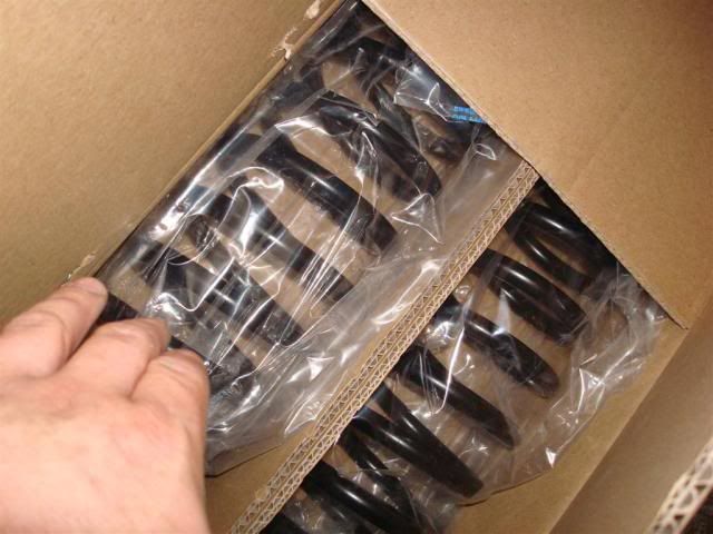 [Image: DSC04874.jpg]