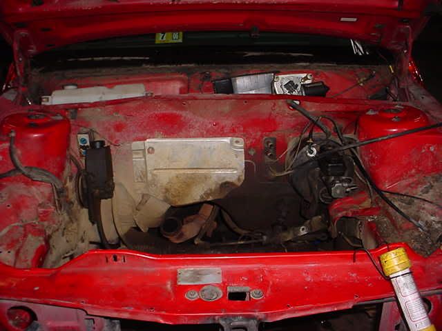 [Image: dirtyfront.jpg]