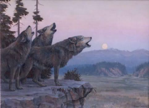 The Wolf Pack Tribal Wars En the wolf pack tribal wars en