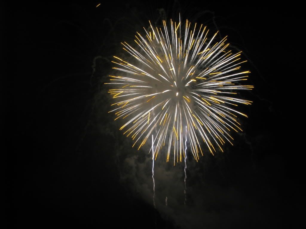 IMAGE: http://i26.photobucket.com/albums/c135/mullhawk/IMG_1904.jpg