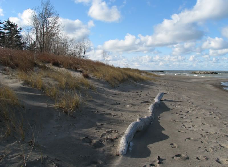 IMAGE: http://i26.photobucket.com/albums/c135/mullhawk/logshadow.jpg