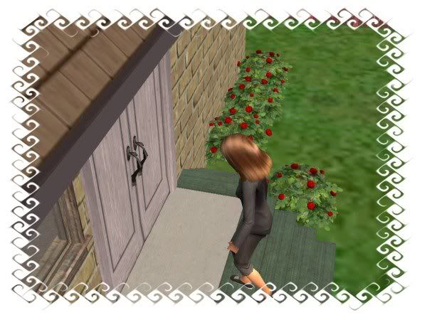 snapshot_10876205_b0878d20.jpg