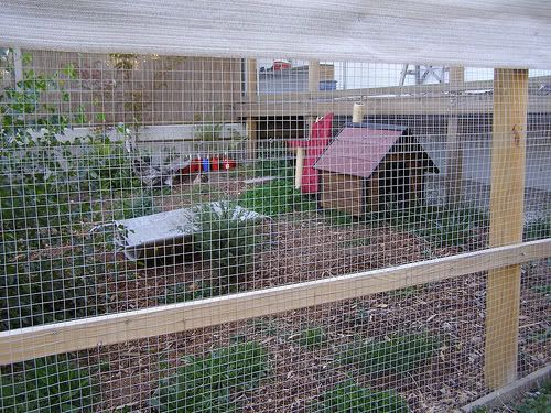 CatEnclosure2.jpg