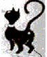 Cat_avatar-1.gif