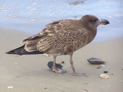 P1010060-1.jpg