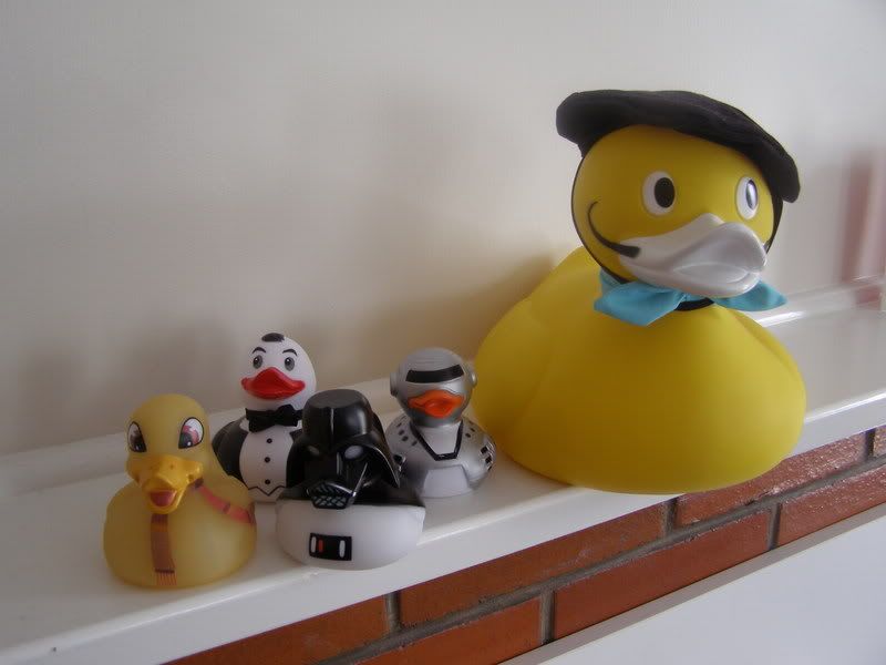PB210035.jpg