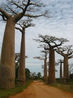 WhereOnEarth2-1.jpg
