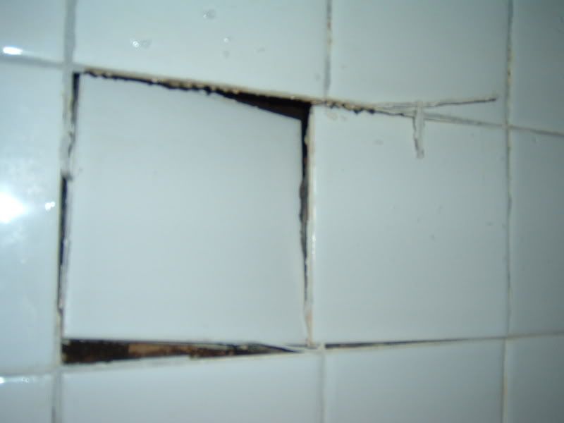 showerstall002.jpg